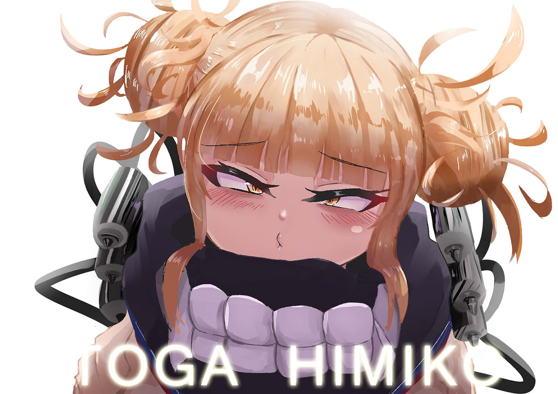 The Heroes Of Toga Mha Background