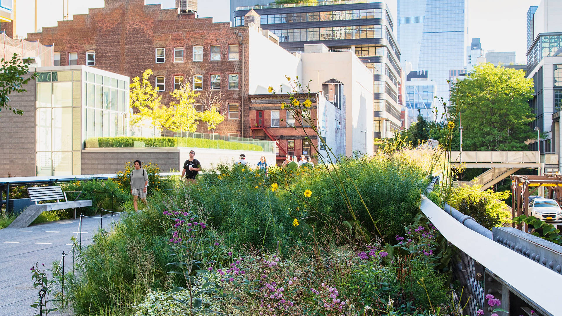 The High Line And Buildings Background