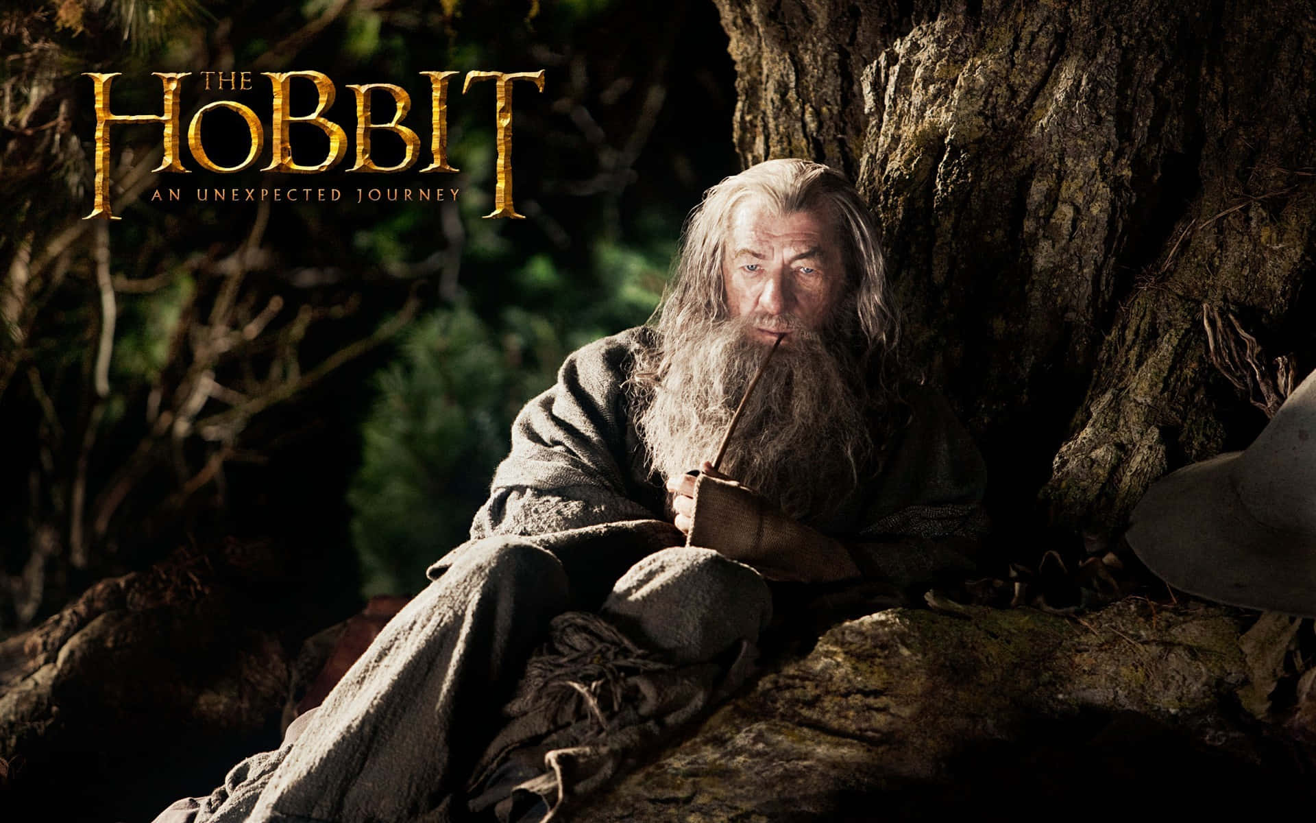 The Hobbit Wizardin Contemplation Background