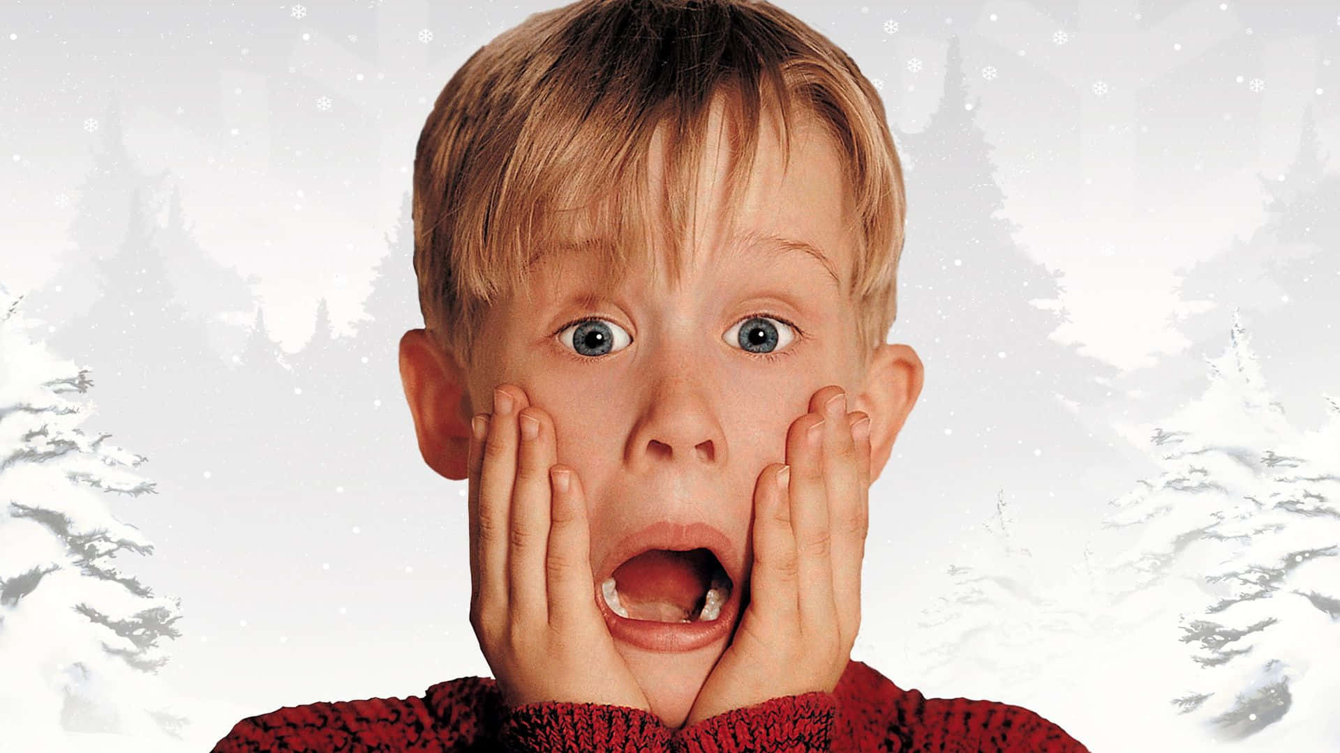 “the Holidays Just Aren’t The Same Without Kevin!” Background