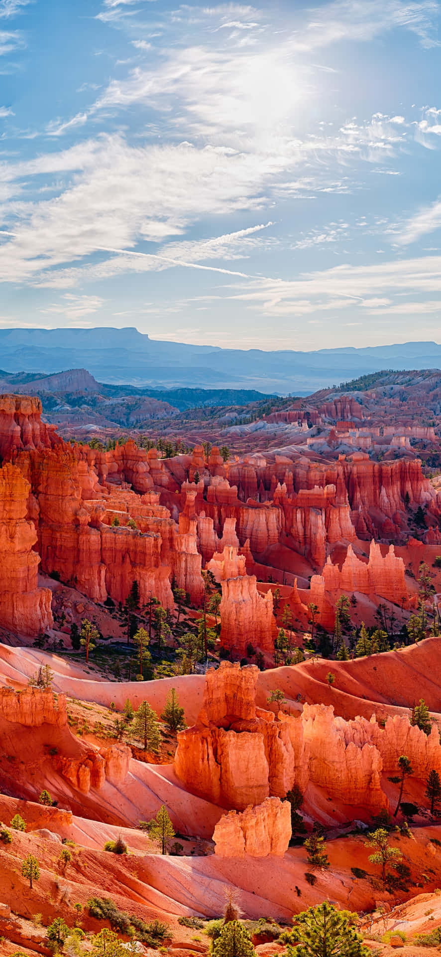 The Hoodoo Wonderland At Bryce Canyon National Park Background