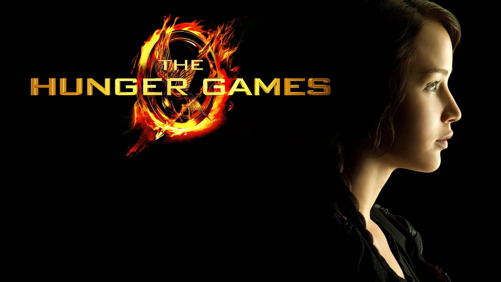 The Hunger Games Film Series Background