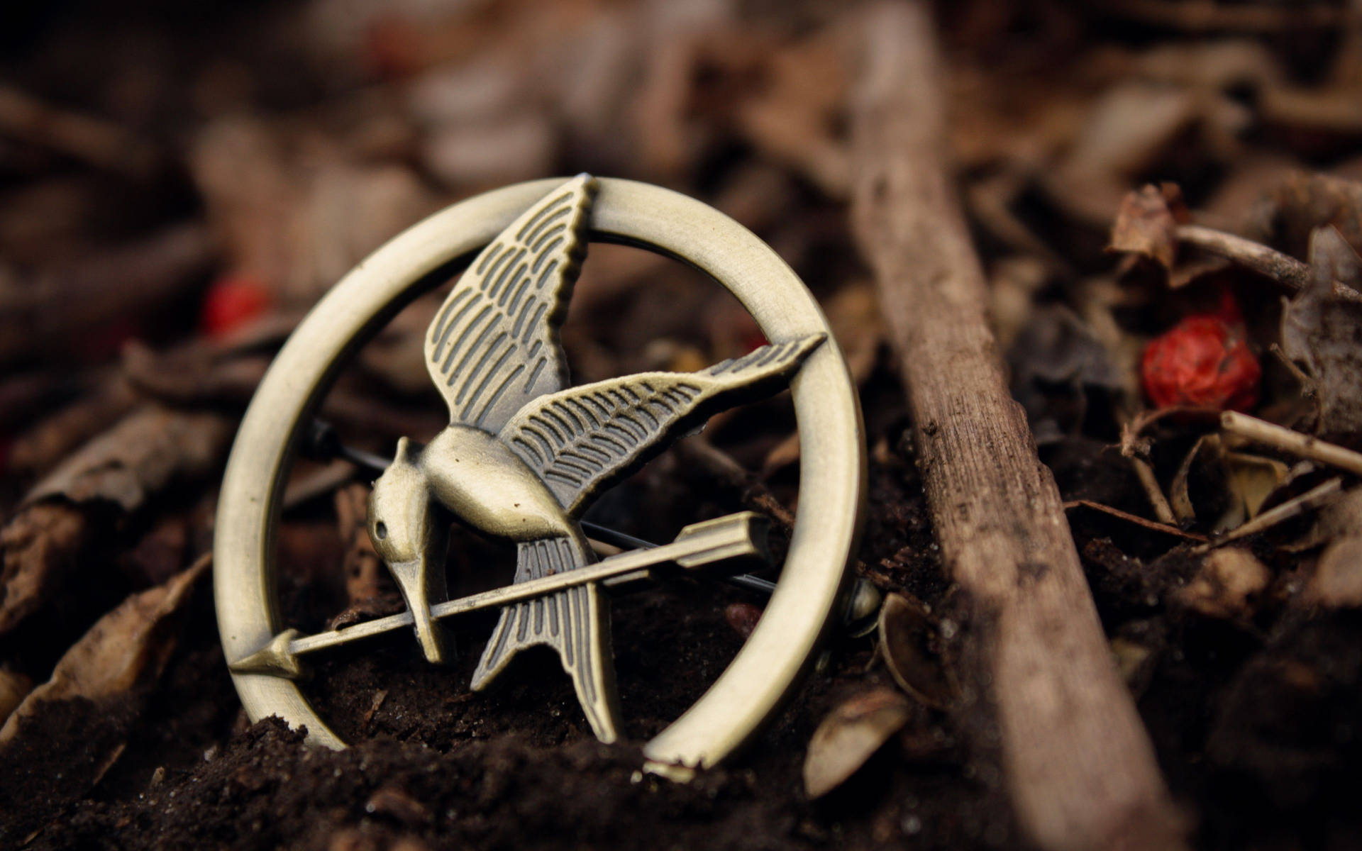 The Hunger Games Mockingjay Pin Background