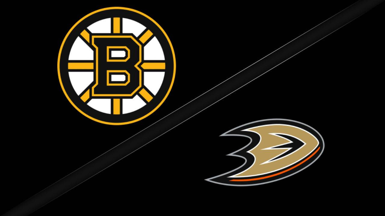 The Iconic Boston Bruins Logo. Background