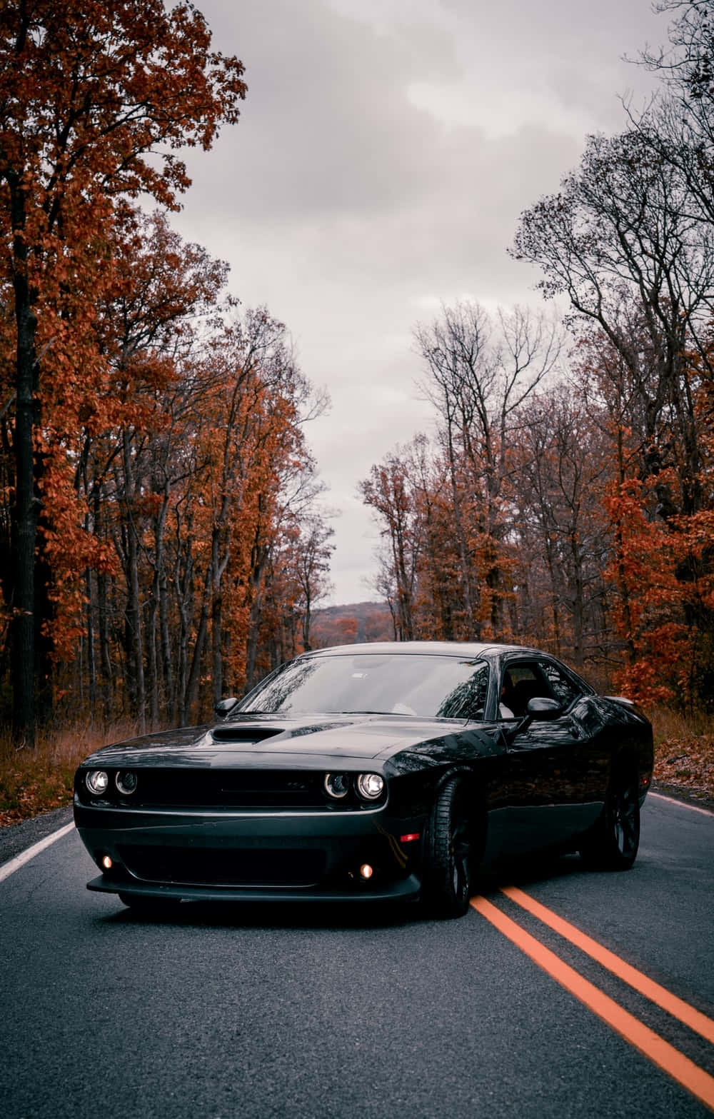 The Iconic Dodge Challenger In Brilliant 4k Background
