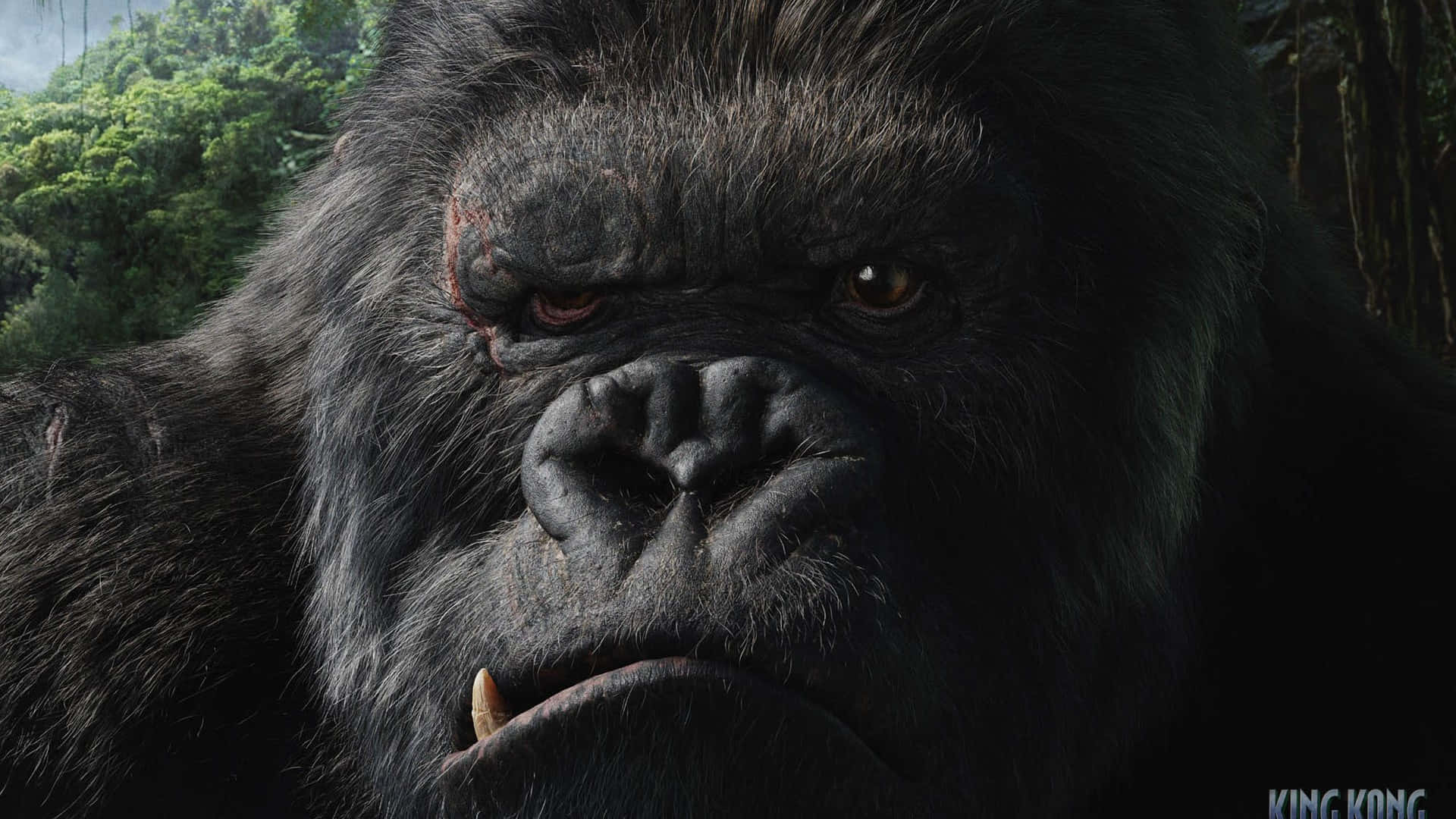 The Iconic King Kong Standing Atop The Empire State Building Background