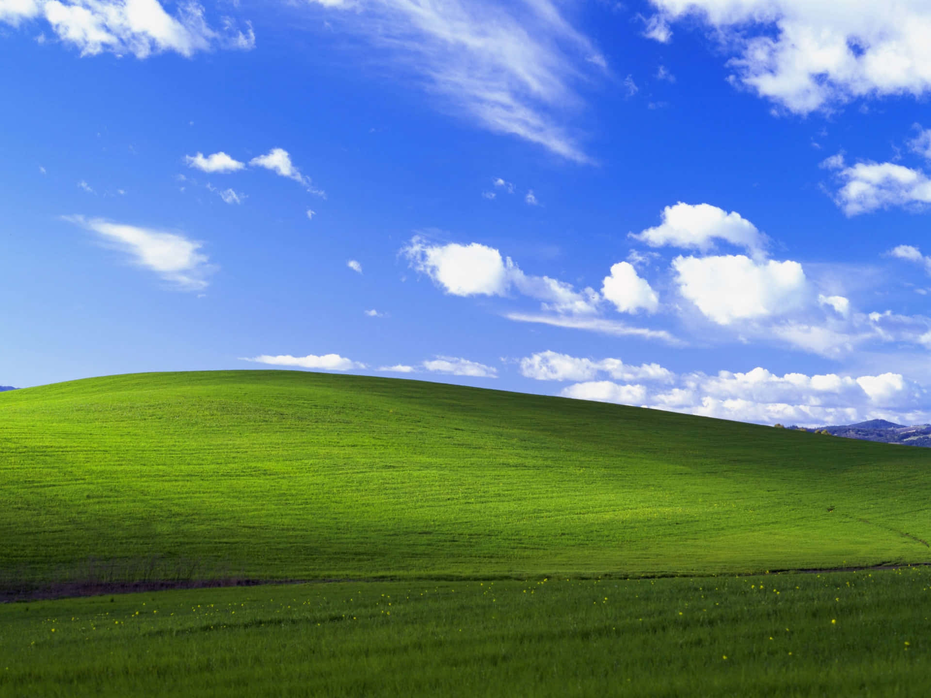 The Iconic Windows Xp Logo Background