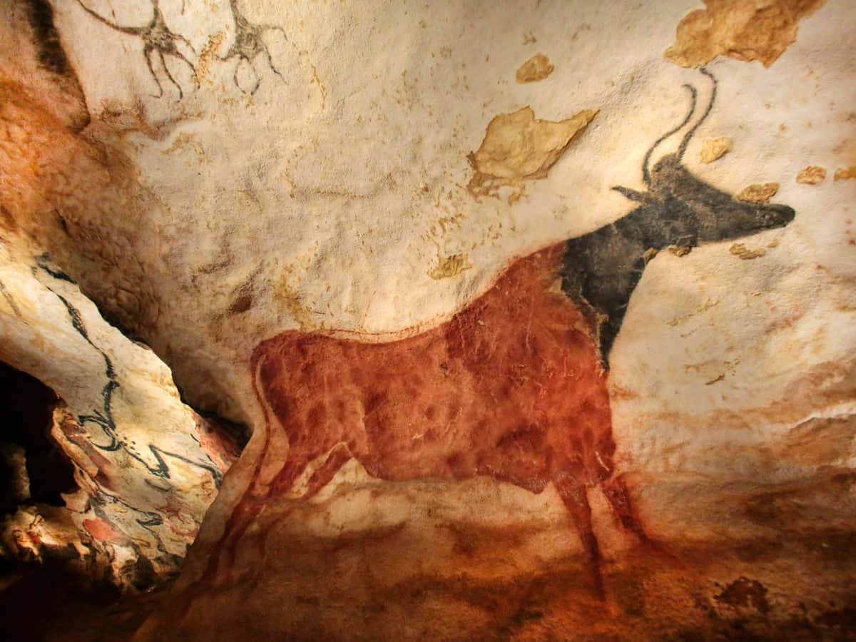 The Intricate Wall Paintings Of The Lascaux Caves Background