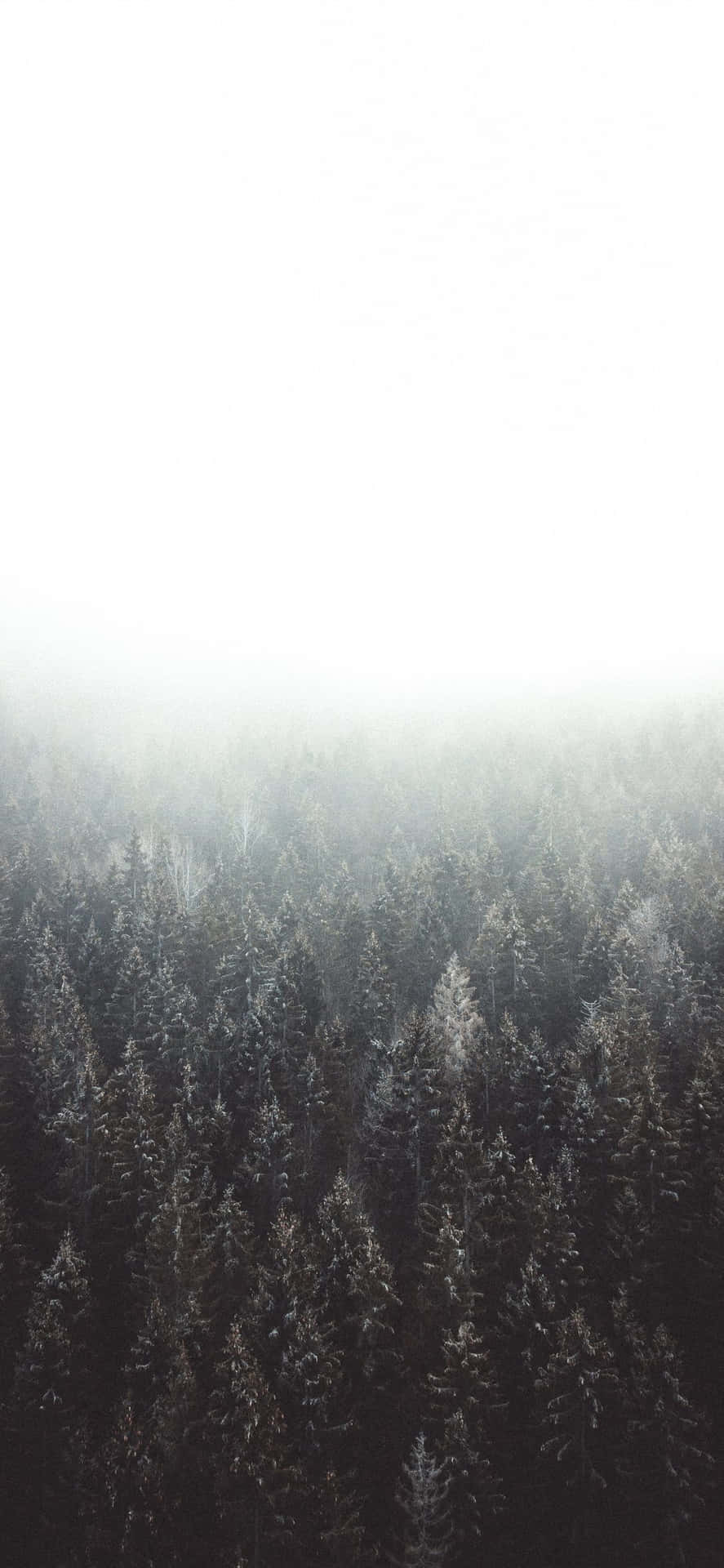 The Iphone 11 White Is A Sleek Phone With A Stylish Design Background