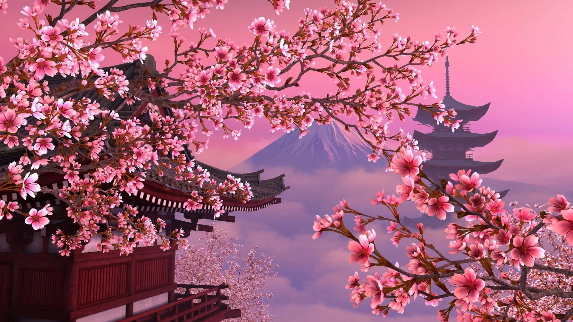 The Japan Made Aesthetic Cherry Blossom Background