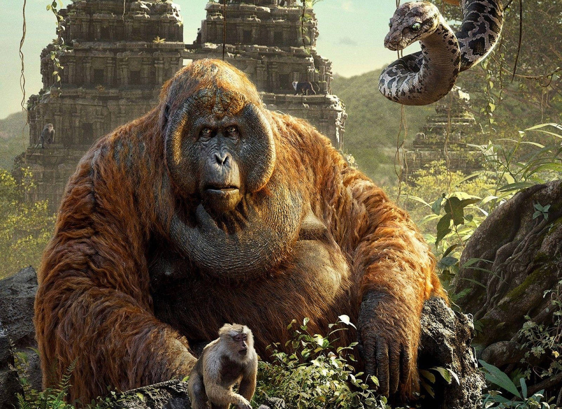 The Jungle Book King Louie Sitting Background