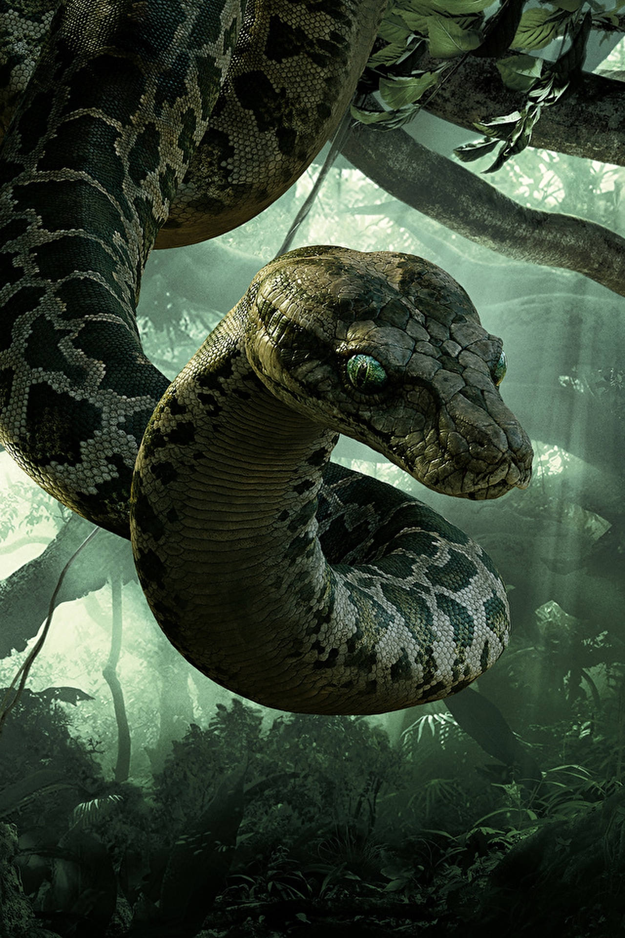 The Jungle Book Snake Background