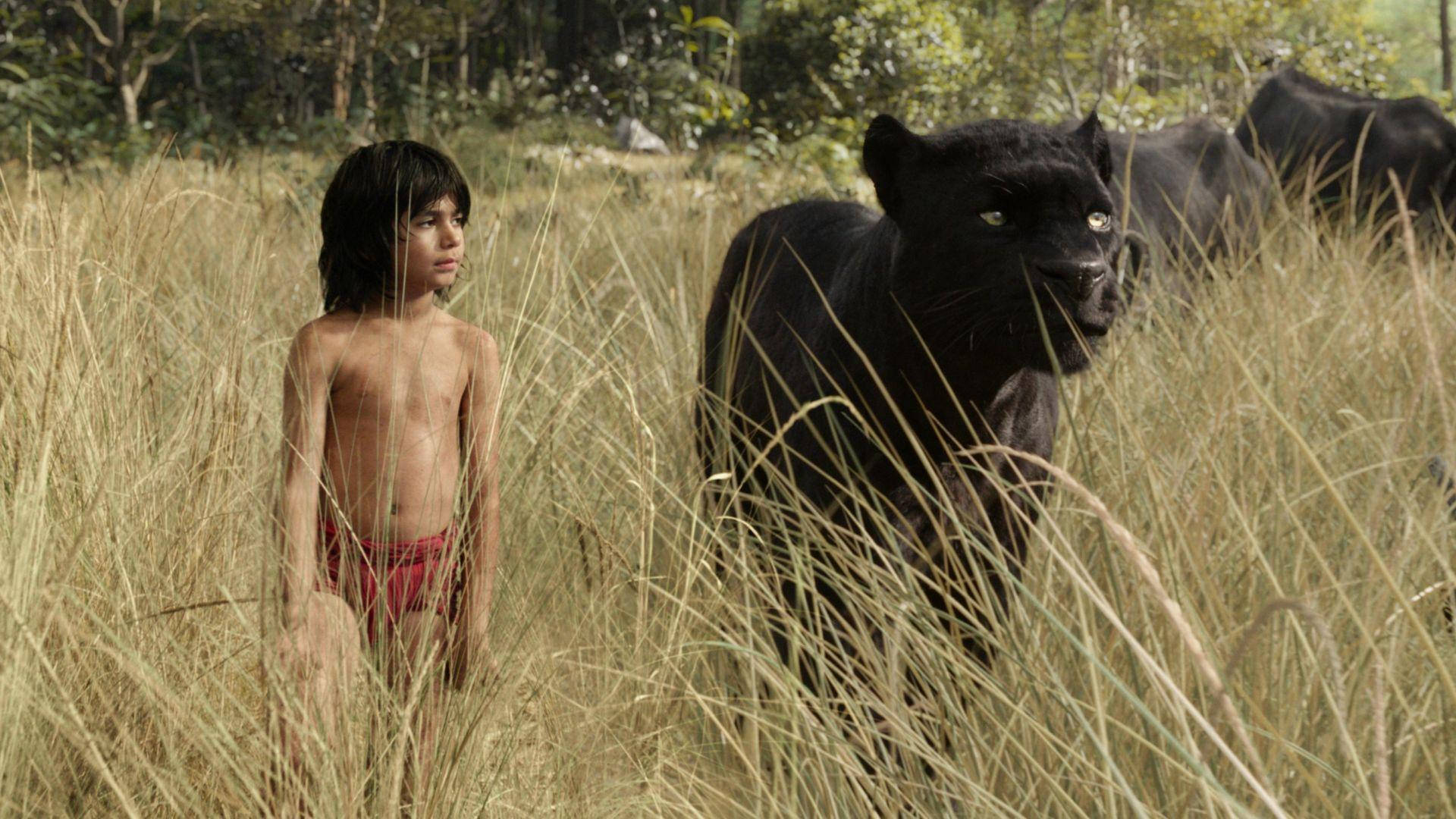 The Jungle Book Tall Grass Background