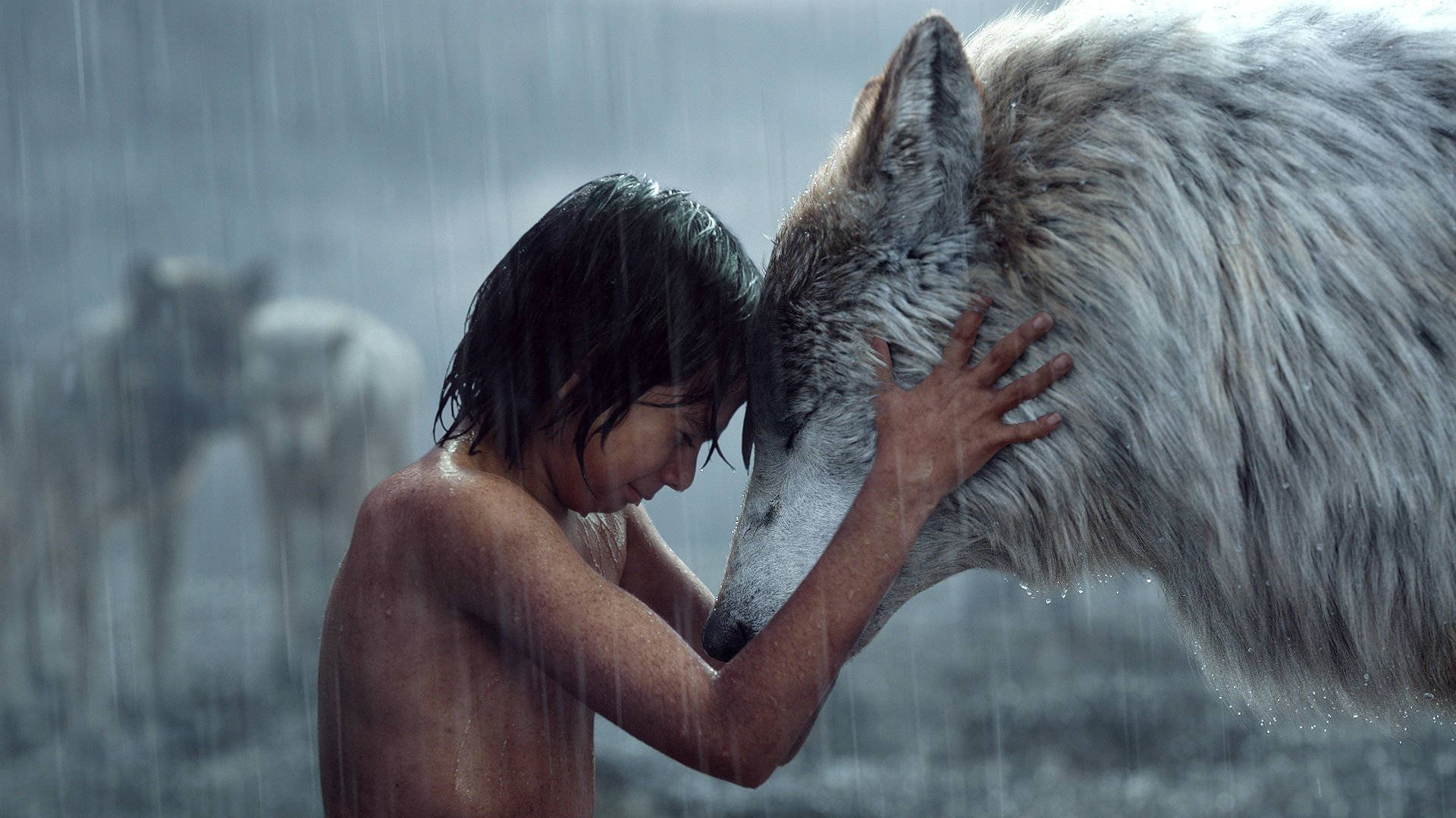 The Jungle Book White Wolf Background