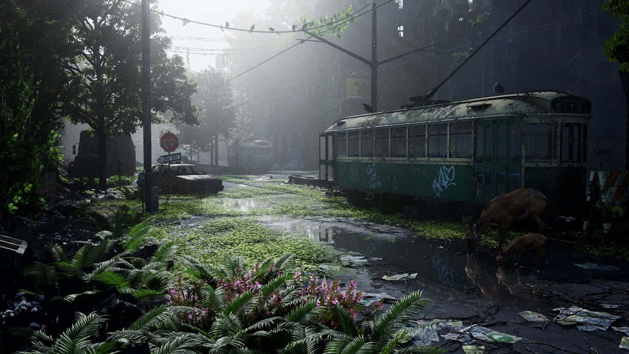 The Last Of Us - Screenshots Background