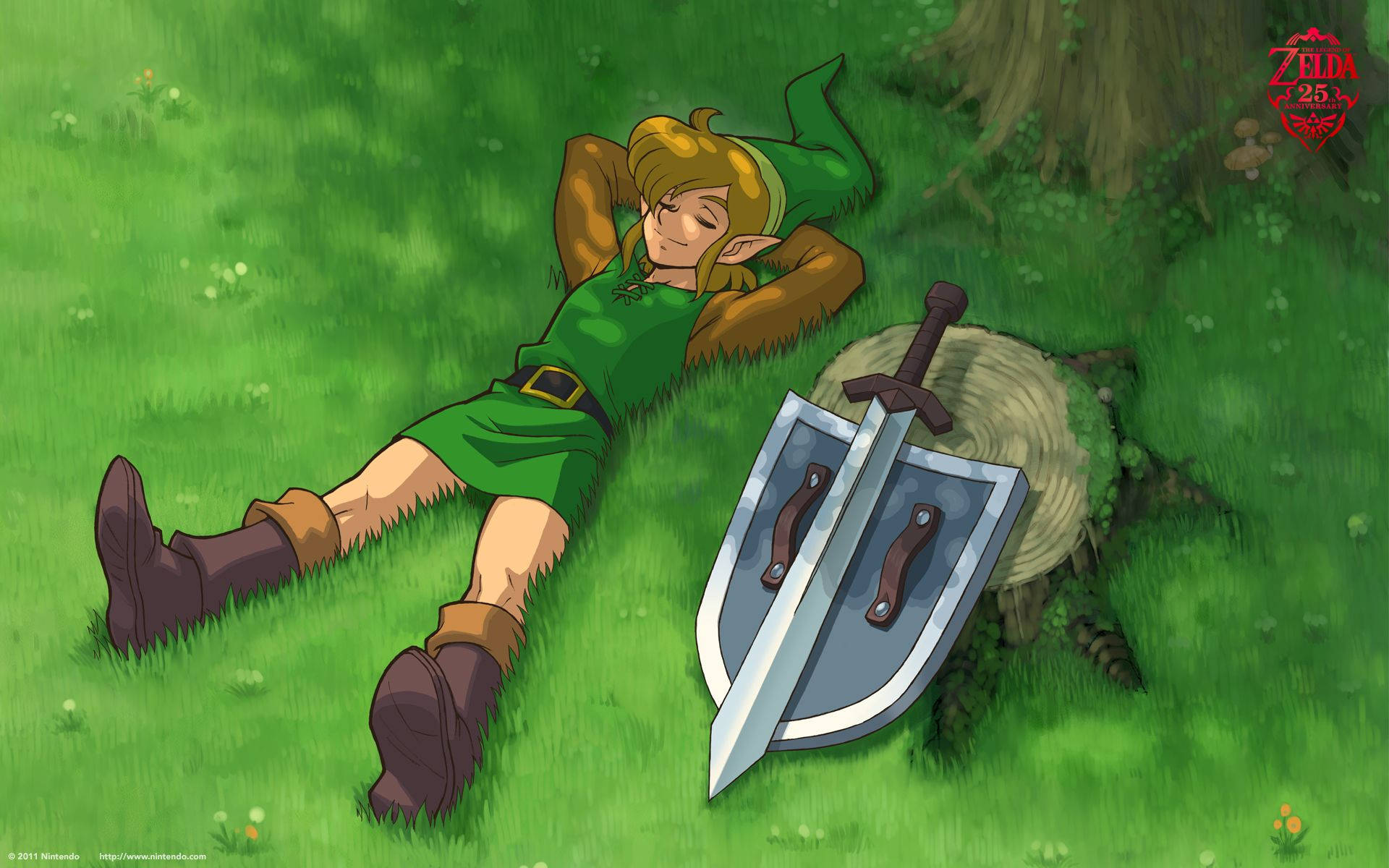 The Legend Of Zelda - Zelda - Zelda - Zelda - Zelda Background