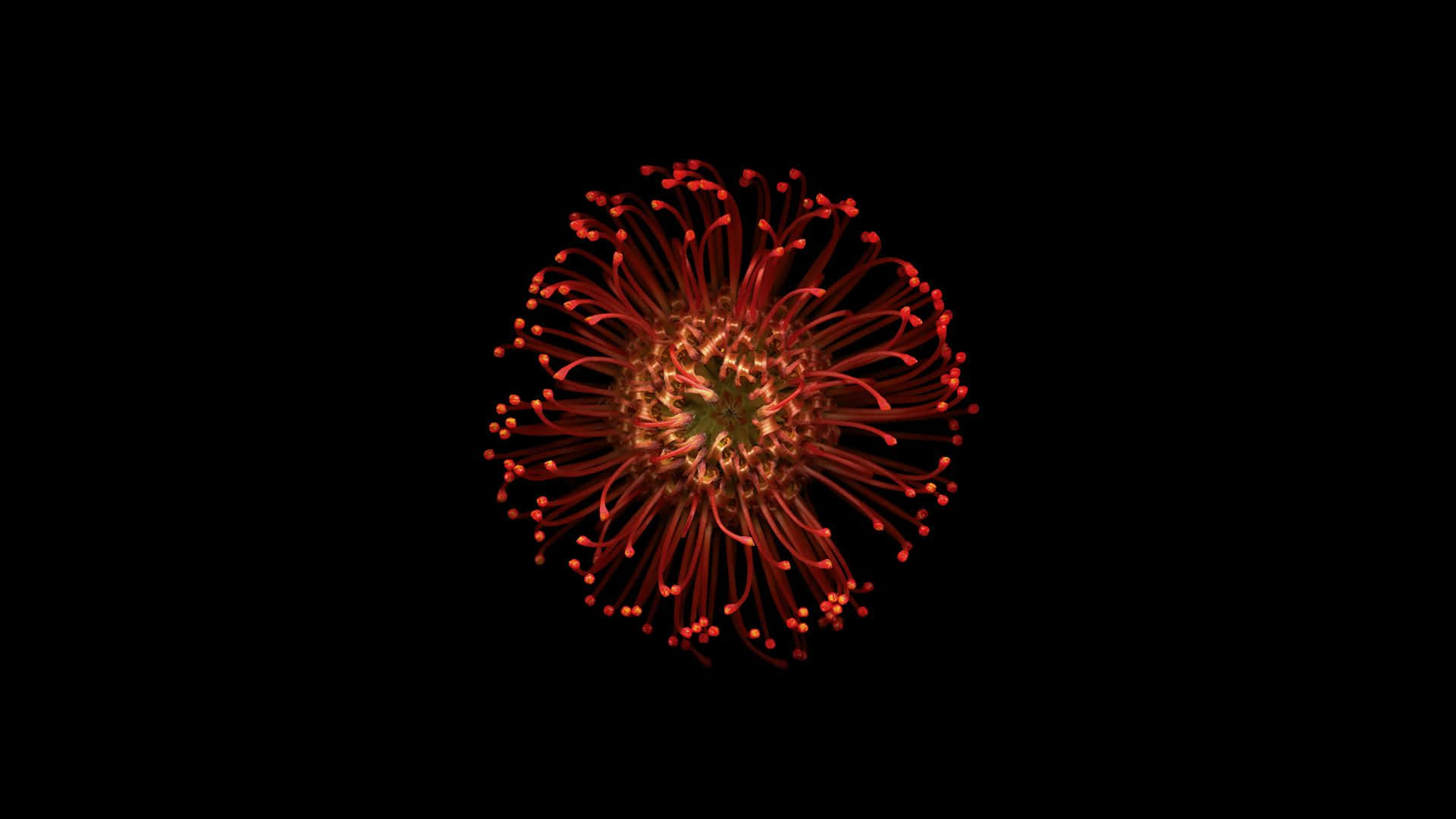 The Lightweight And Innovative Look Of Apple's Ios Desktop