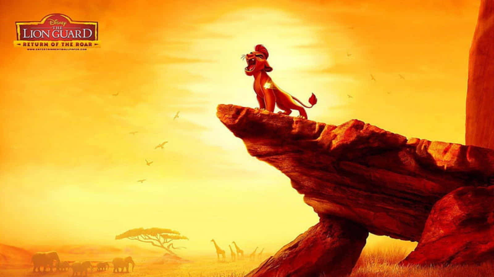 The Lion King Wallpaper Background