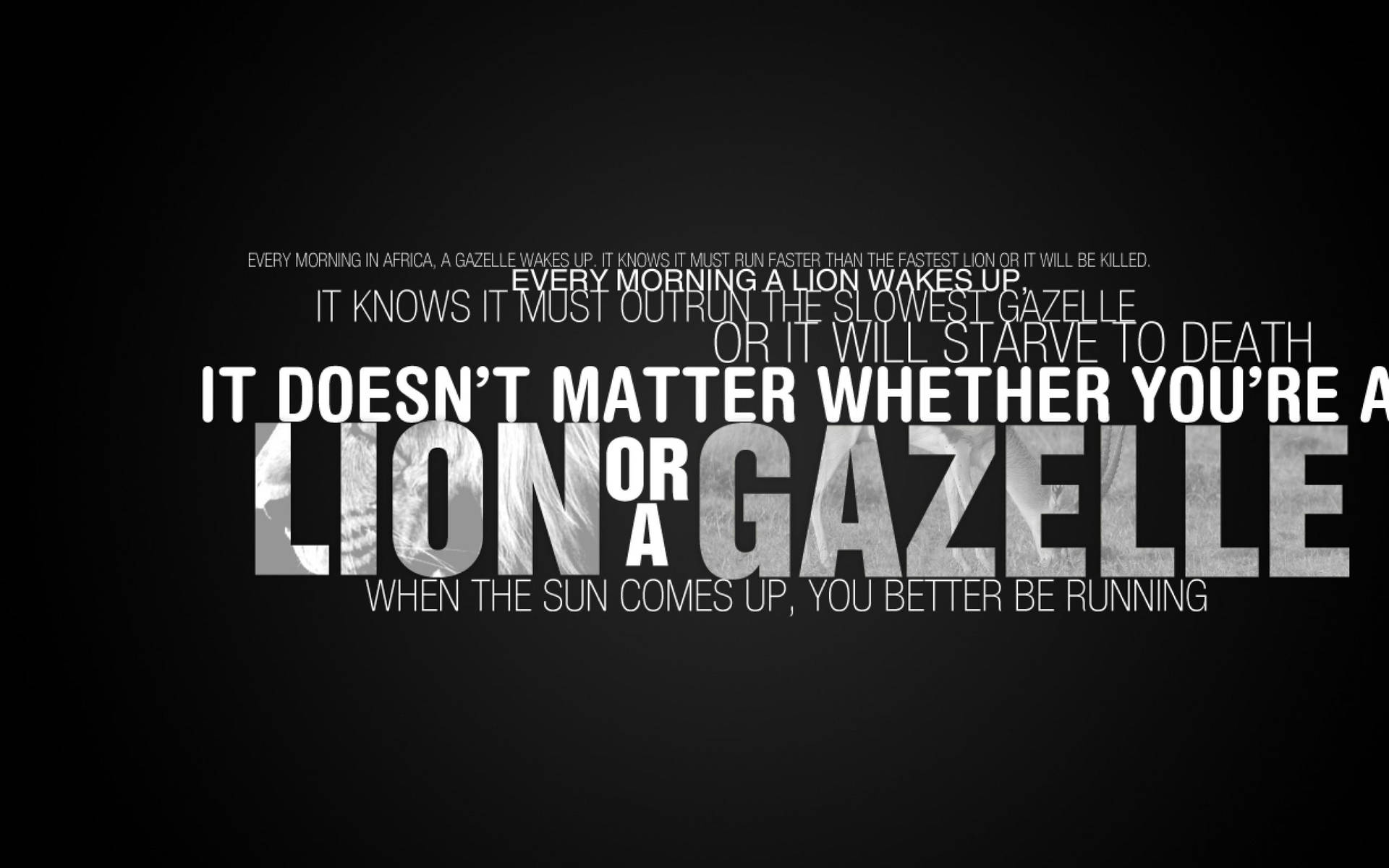 The Lion Or Gazelle: An Emblem Of Fitness Vigor Background