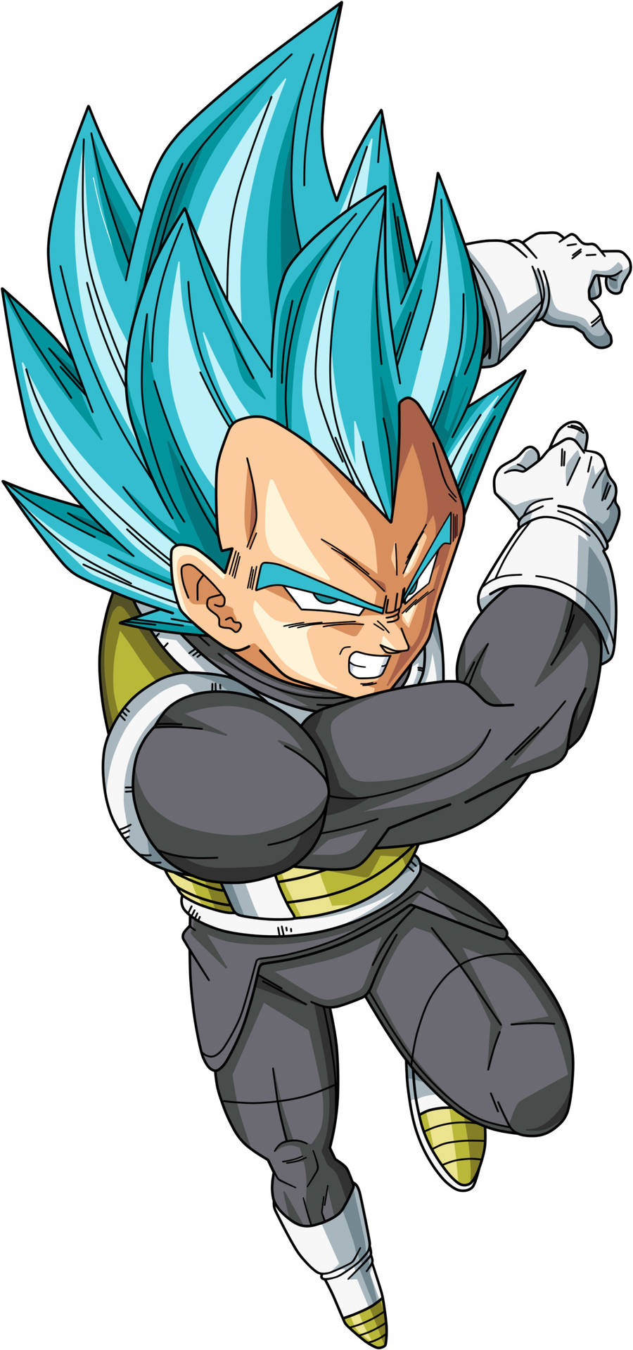 The Lord Of The Saiyan World, Dark Vegeta Background