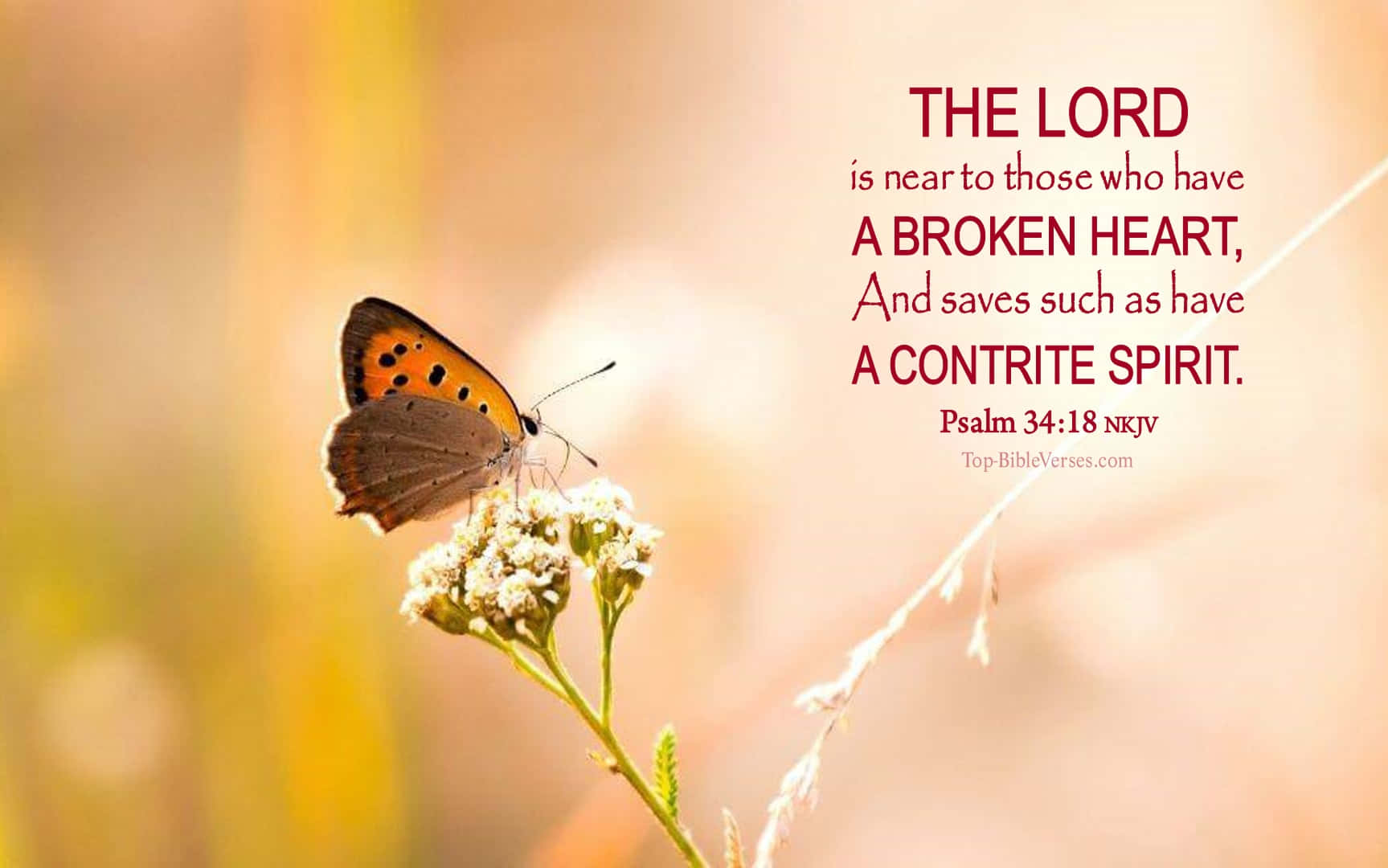 The Lord Saves The Contrite Background