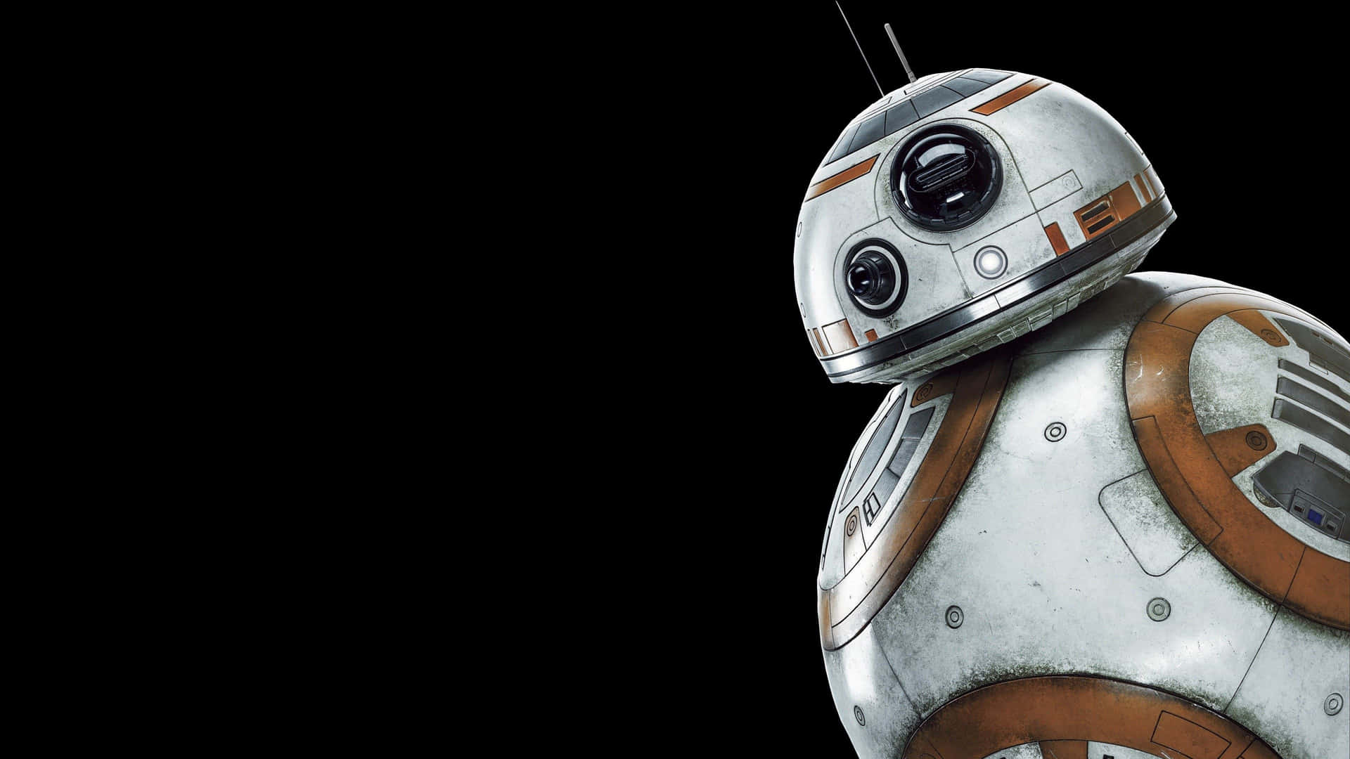 The Lovable Droid, Bb-8