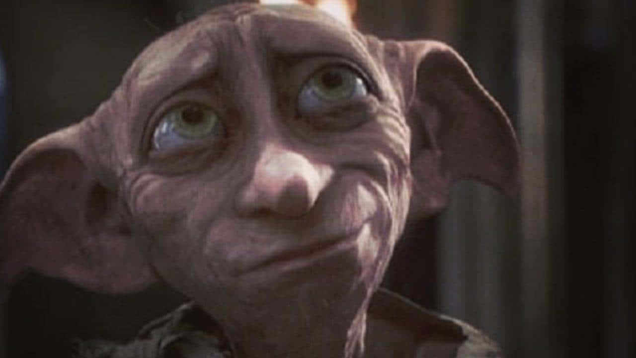 The Loving House Elf, Dobby Background
