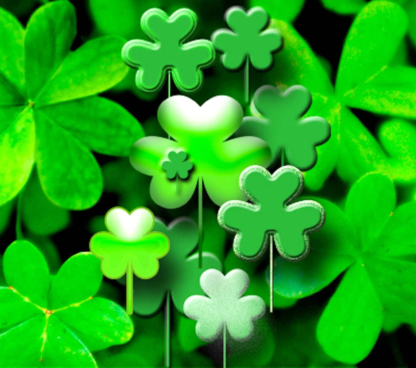 The Luck Of The Irish: Celebrate With A Shamrock