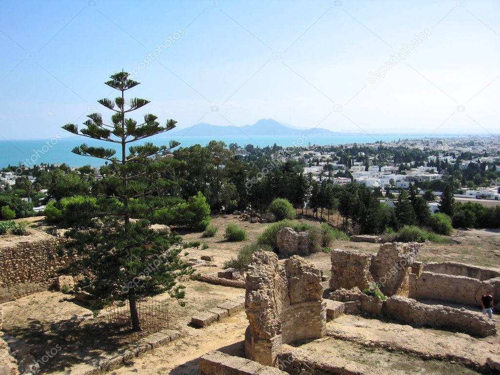 The Magnificent View Of Byrsa Hill In Carthage Background