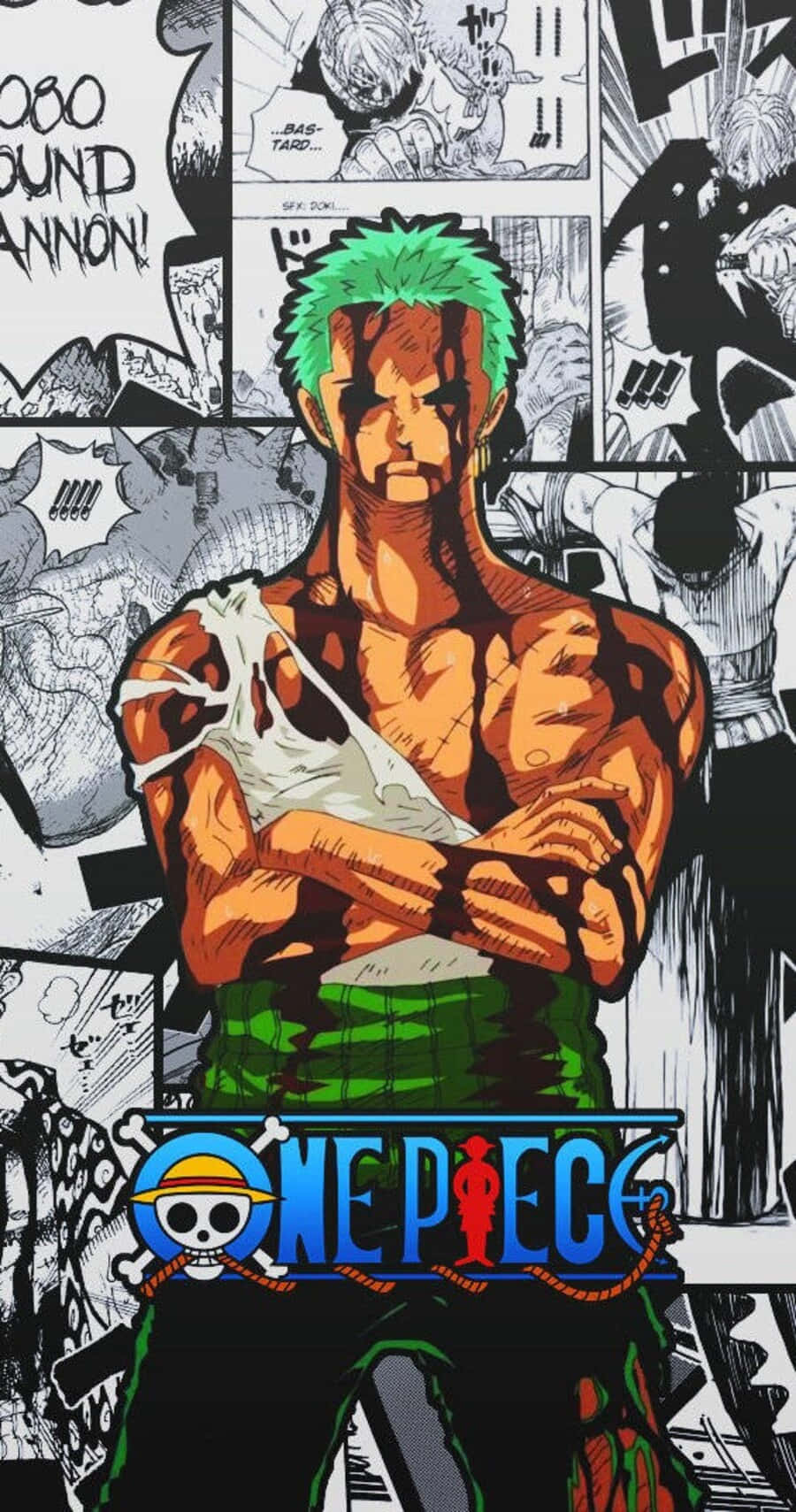 The Main Characters Of One Piece Manga Background