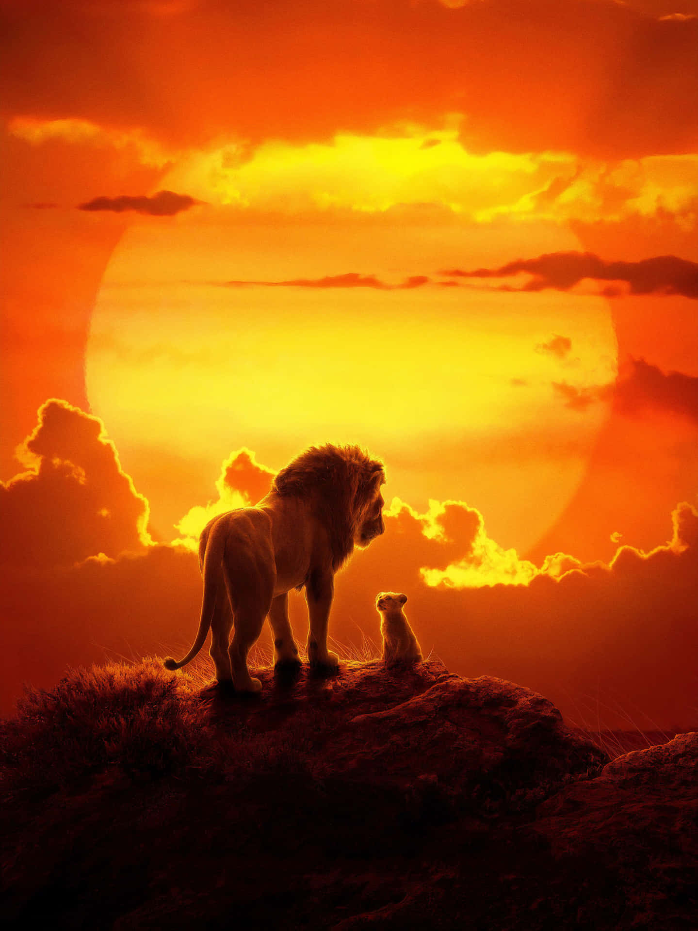 The Majestic Beauty Of The Lion King Background