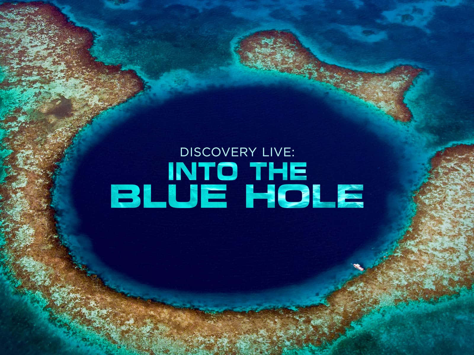 The Majestic Dive Into The Great Blue Hole Background