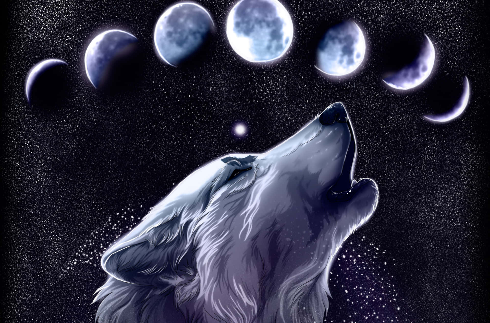 The Majestic Galaxy Wolves, Gazing Up At The Starry Night Sky. Background