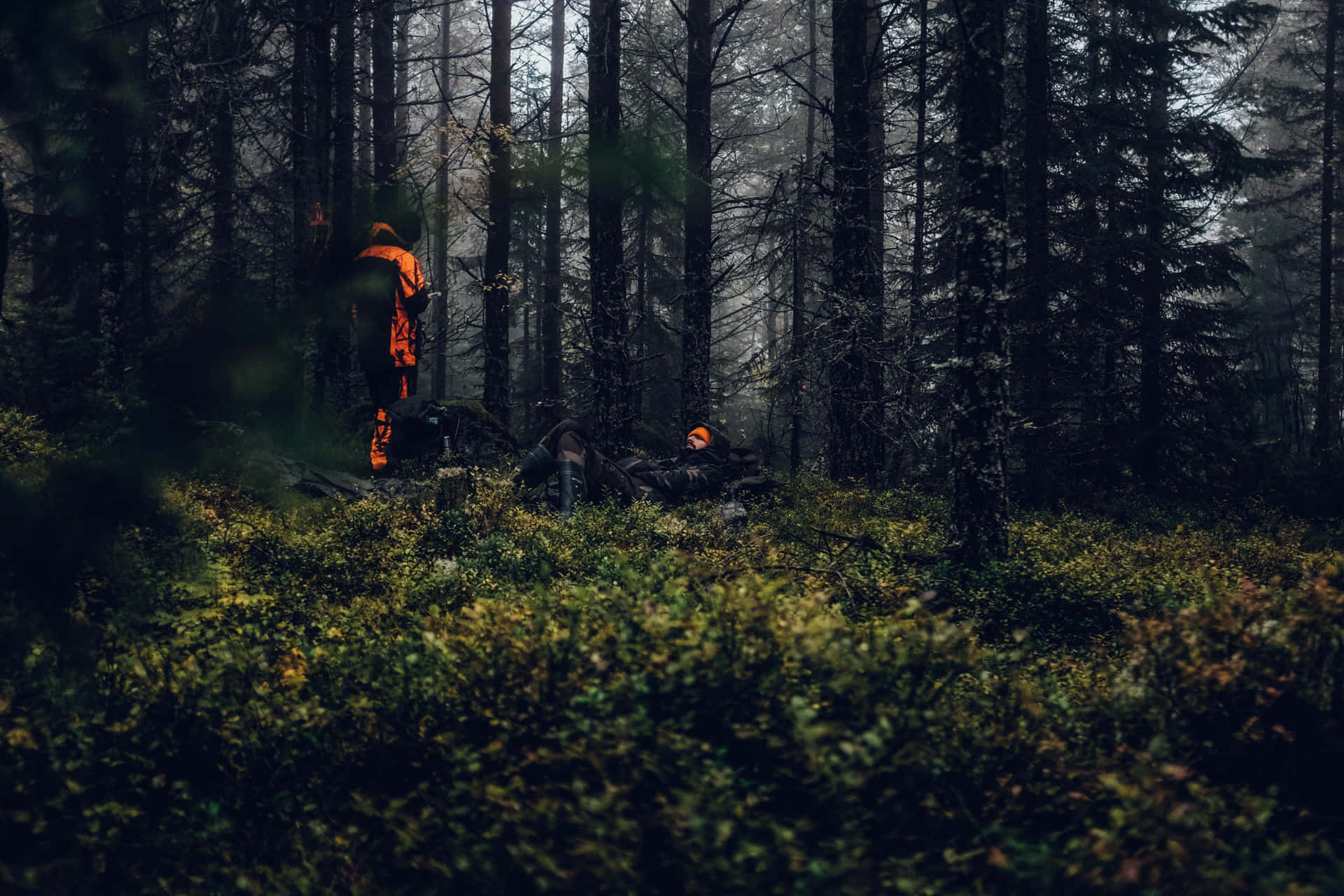 The Man In A Forgotten Forest Background