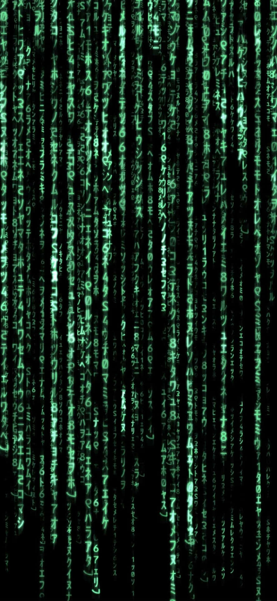 The Matrix Code Is Shown In Green