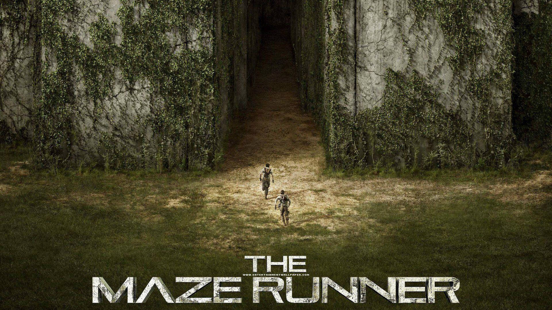 The Maze Runner Official Poster Background