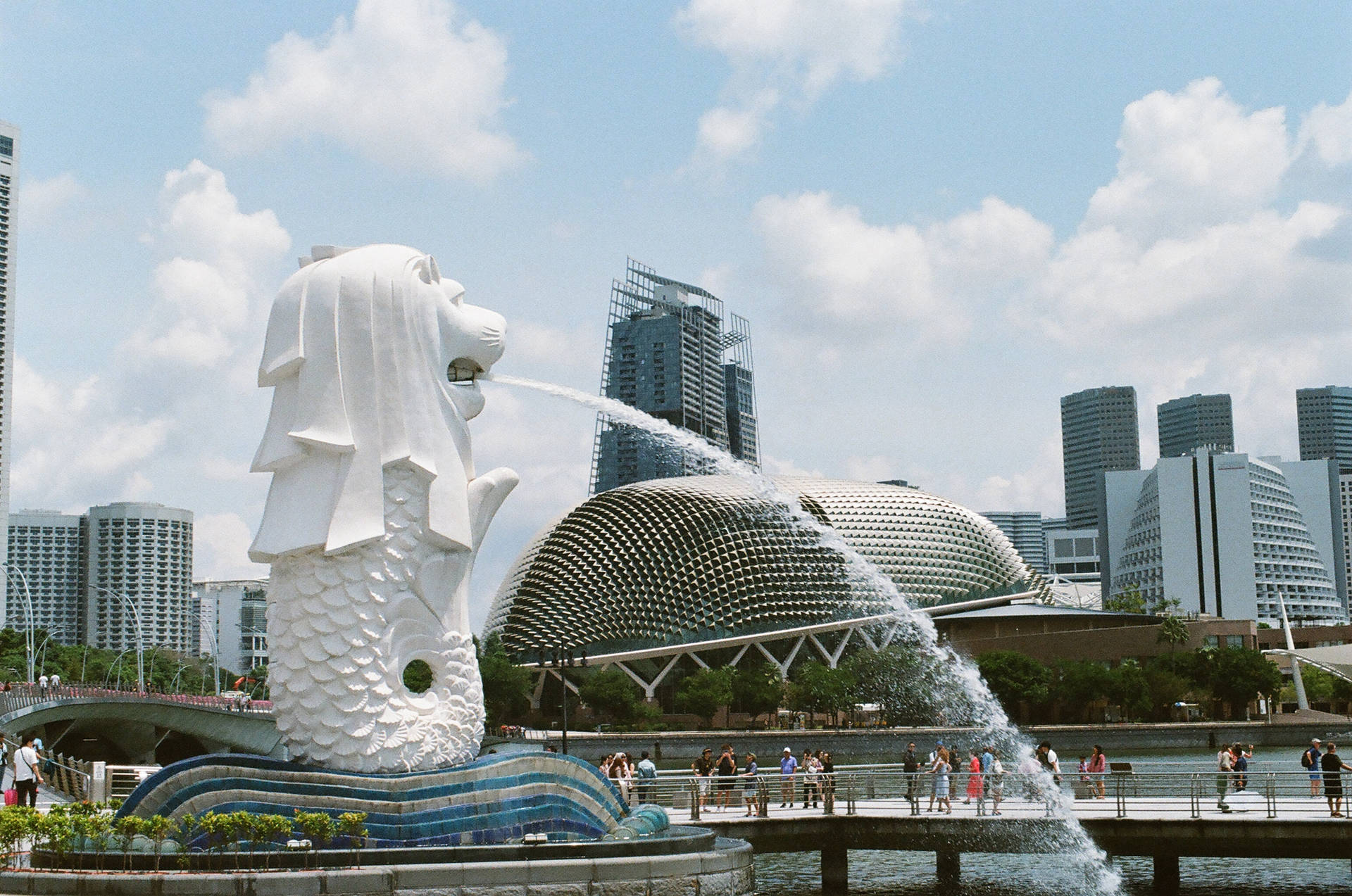 The Merlion Of Singapore Background