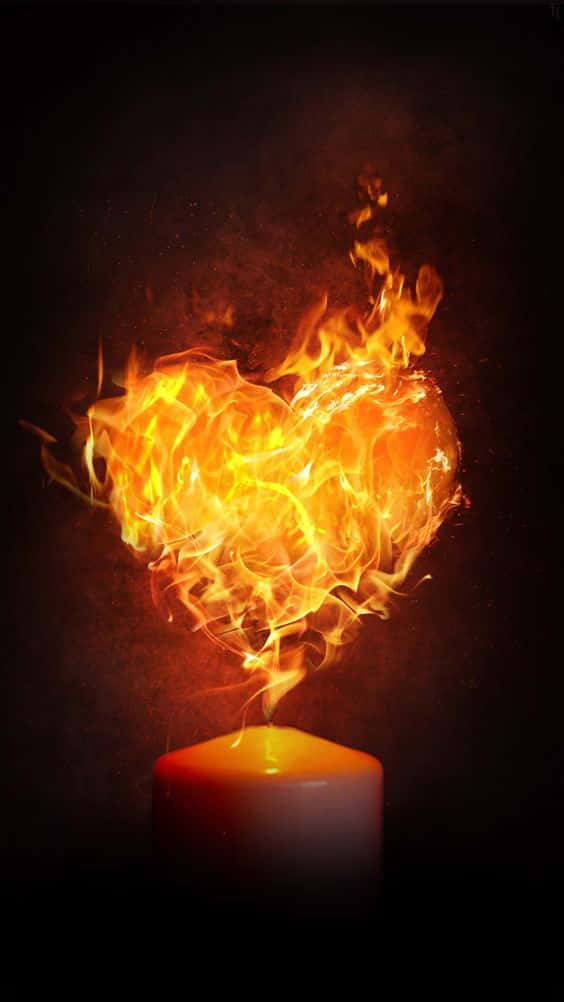 The Mesmerizing Beauty Of Burning Flames