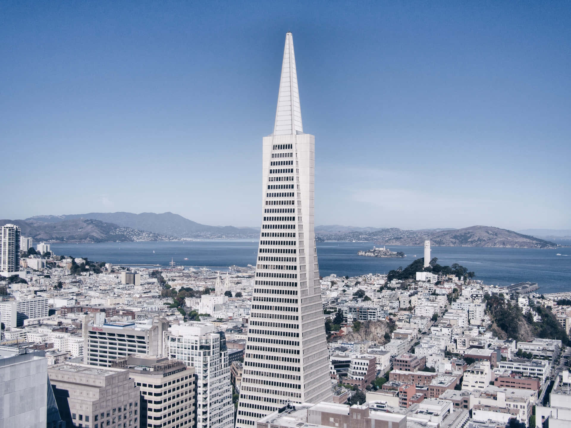 The Modernist Skyscraper, Transamerica Pyramid