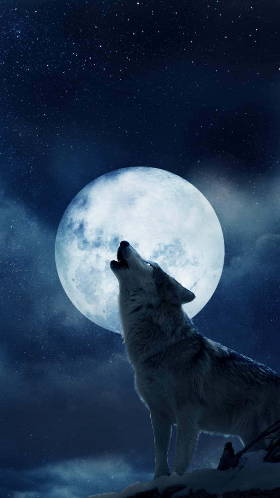 The Moon Iphone Wolf Background