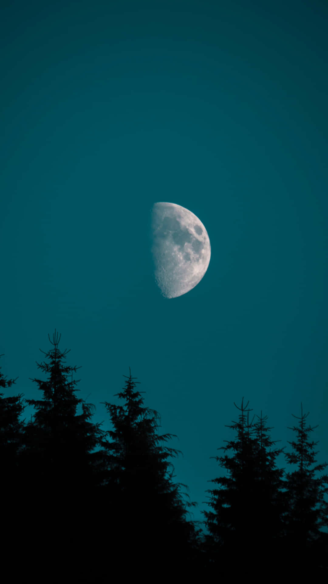 The Moon Silhouette Trees Iphone Background