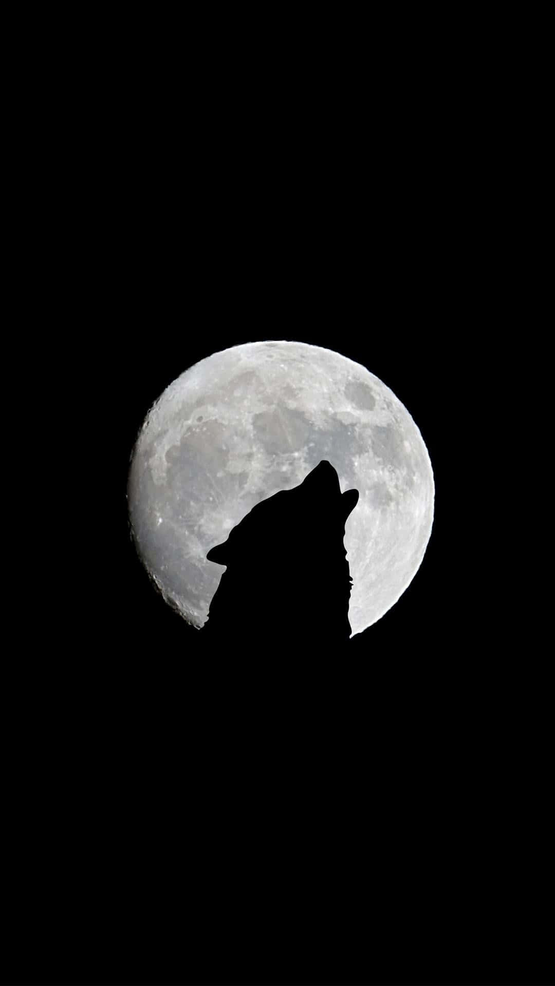 The Moon Silhouette Wolf Iphone Background