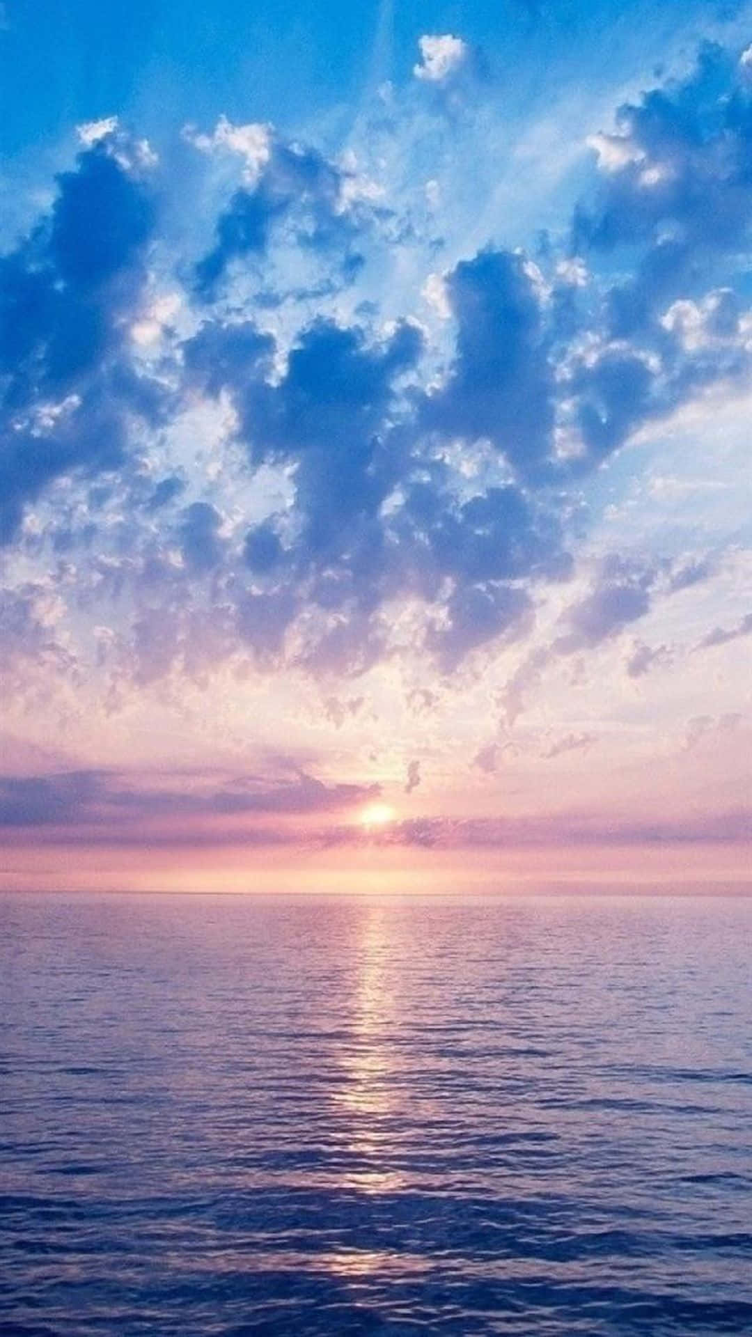 The Morning Sun Brings Life To The World Background