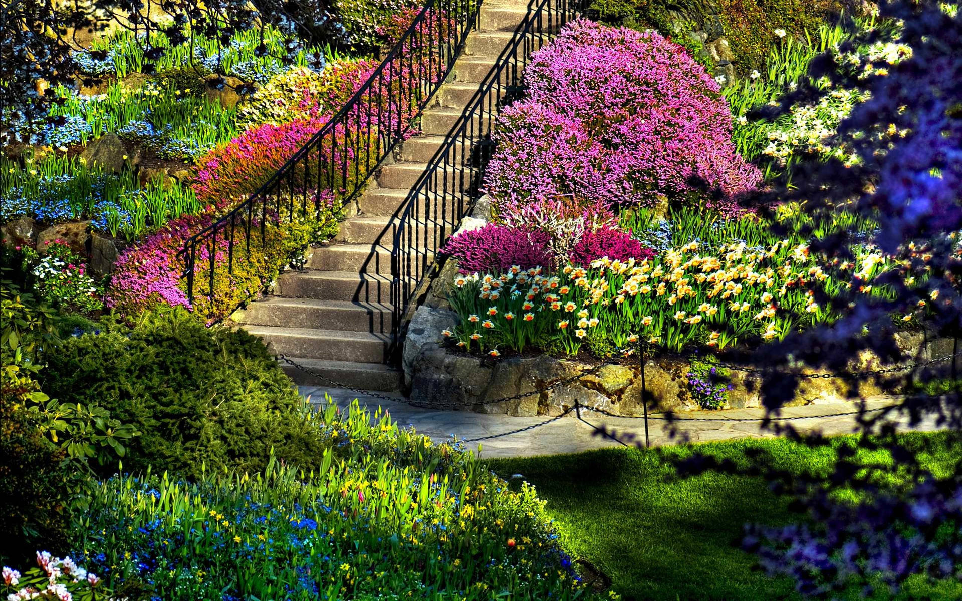 The Most Beautiful Spring - Flowers Blooming In Sunny Meadow Background