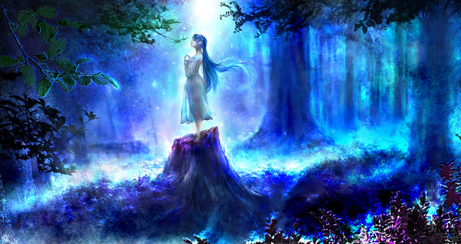 The Mysterious, Mesmerizing Night Forest Background