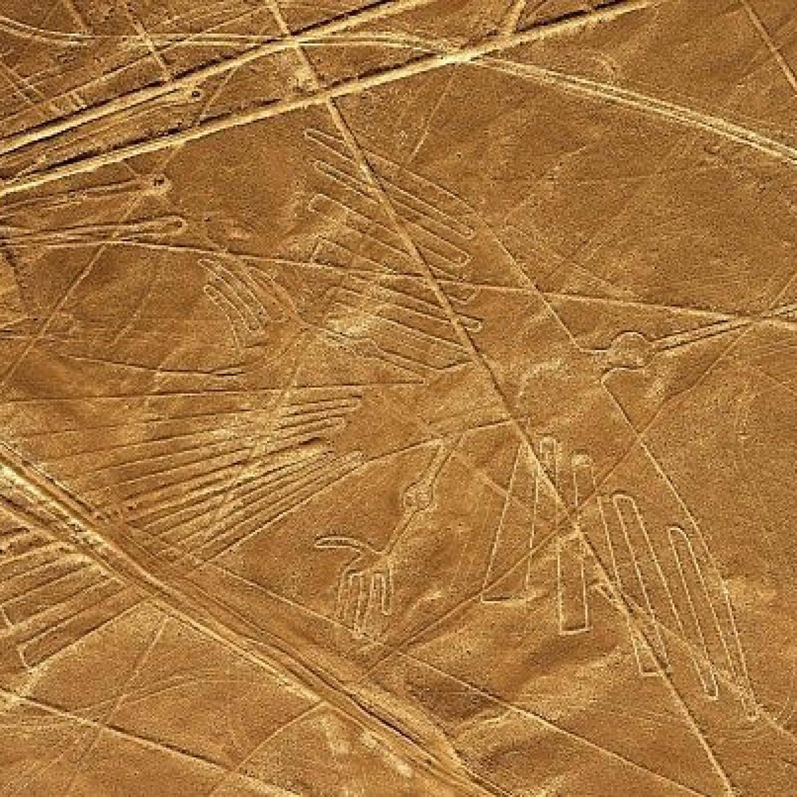 The Nazca Lines Background