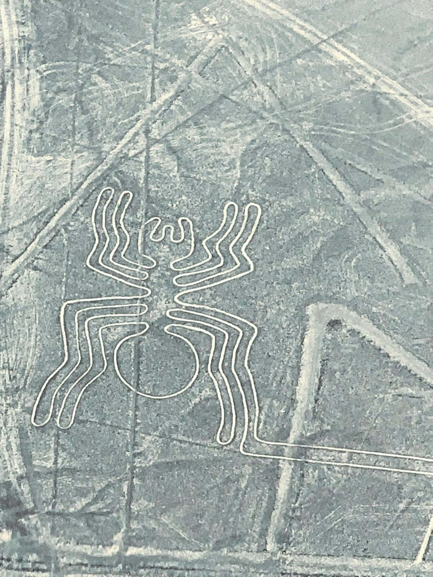 The Nazca Lines Background