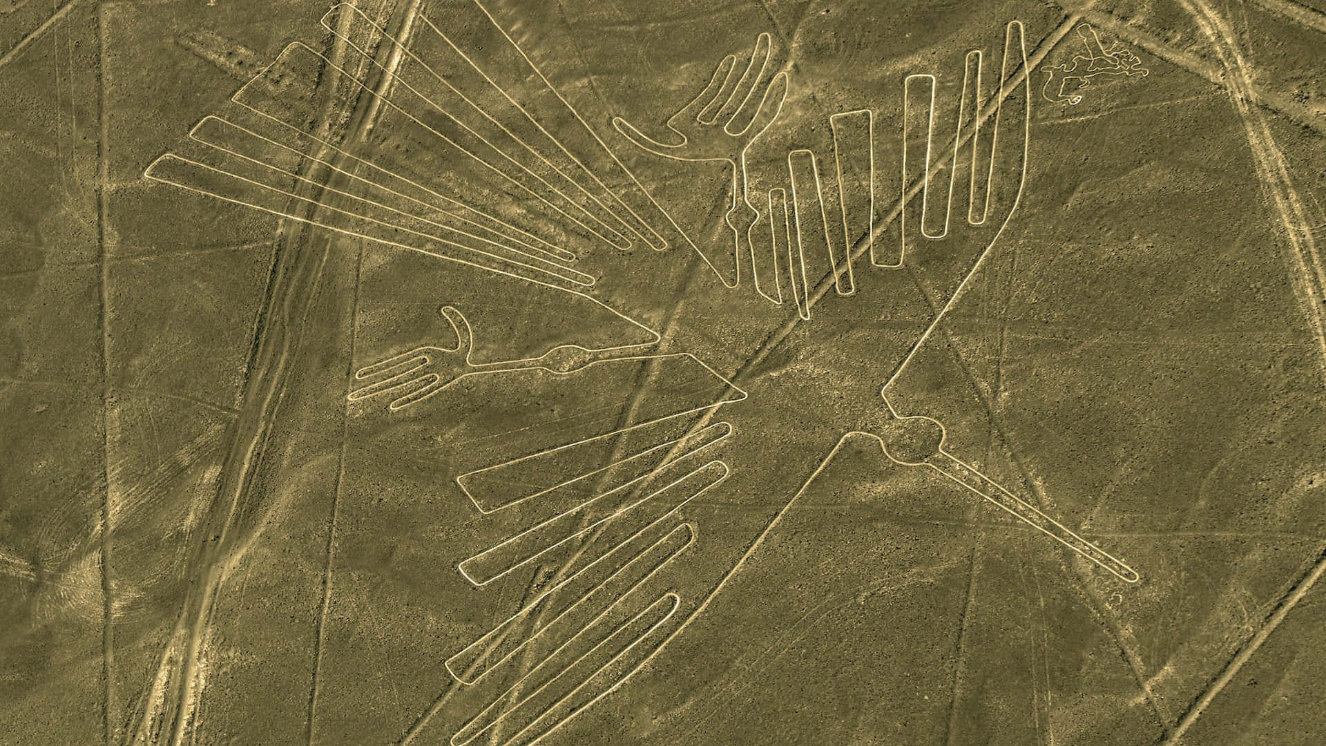 The Nazca Lines Background