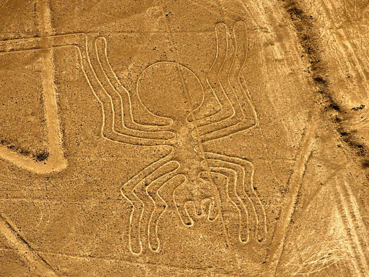 The Nazca Lines Background