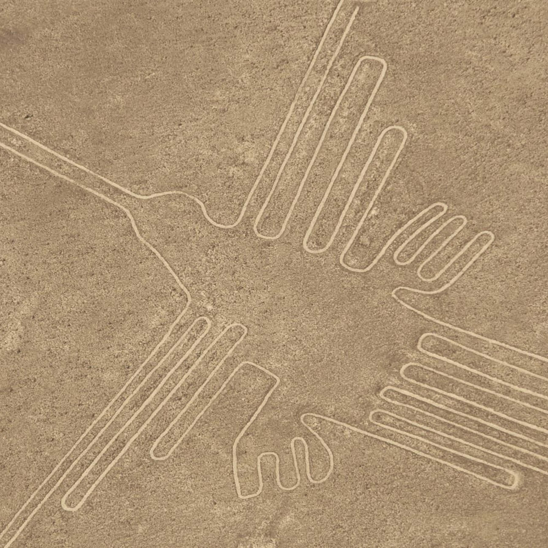 The Nazca Lines Background